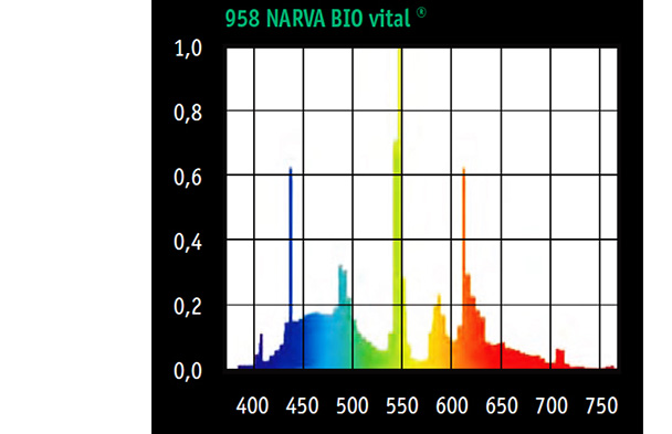 1-narva bio vital.jpg